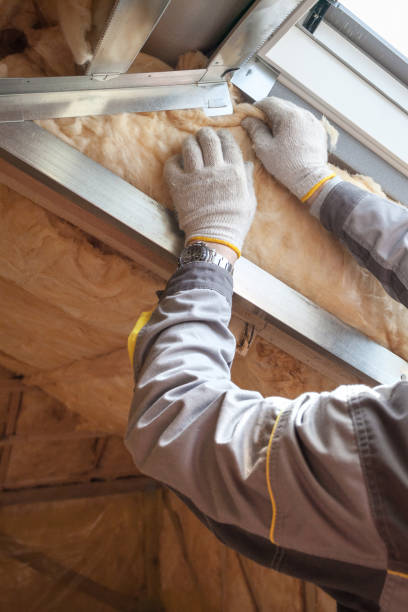 Best Cellulose Insulation  in Williamstown, NJ