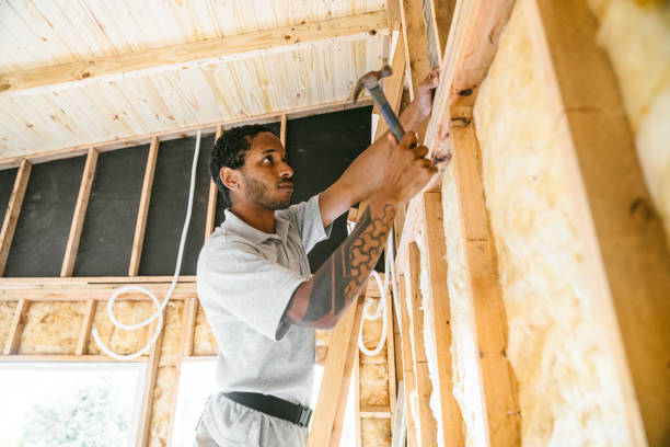 Best Best Insulation Companies  in Williamstown, NJ