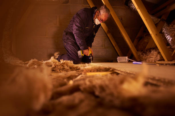 Best Affordable Insulation Services  in Williamstown, NJ