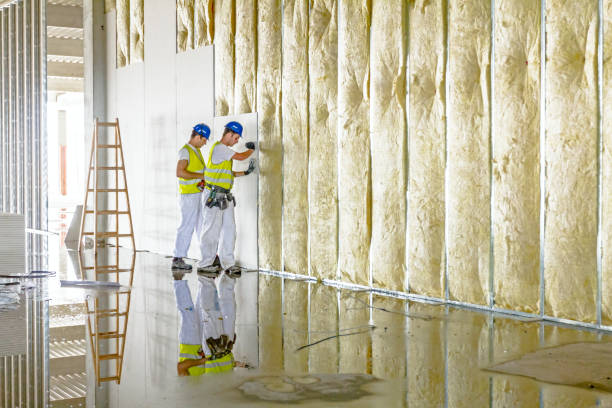 Best Affordable Insulation Services  in Williamstown, NJ